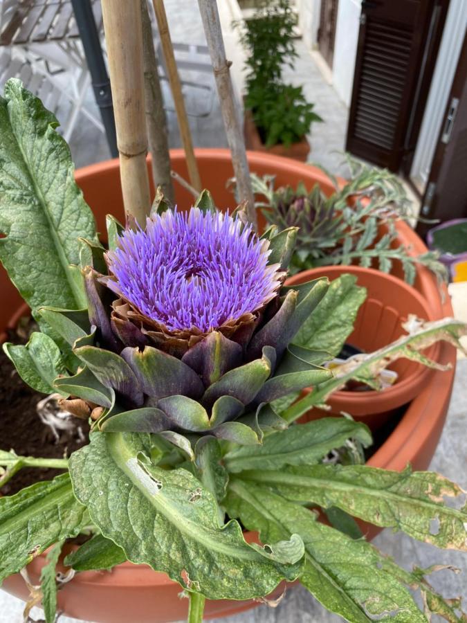 Officinale Rome Apartment, Pineta Sacchetti エクステリア 写真