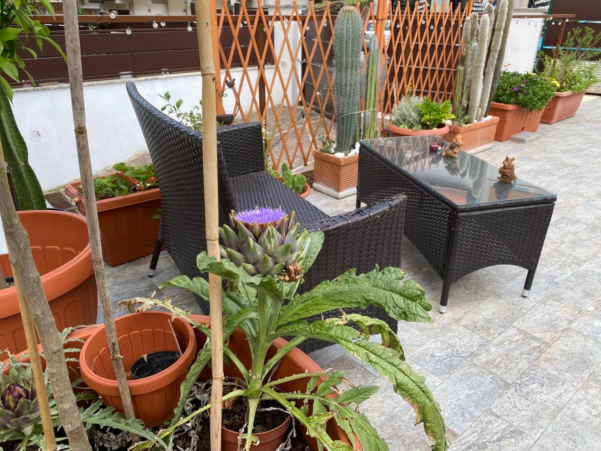 Officinale Rome Apartment, Pineta Sacchetti エクステリア 写真